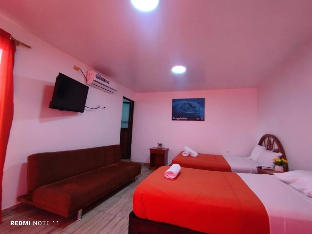 Guest house Hostal Galahouse Puerto Ayora