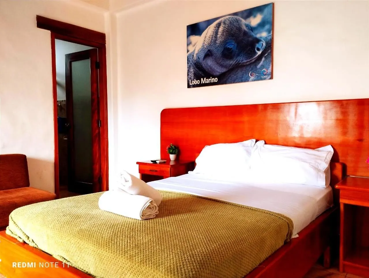 Pensión Hostal Galahouse Puerto Ayora  Ecuador