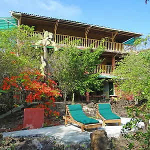 2* Bed and breakfast Galapagos